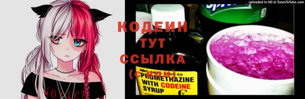 прущие грибы Кинешма