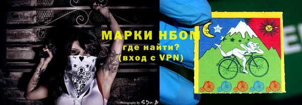 прущие грибы Кинешма